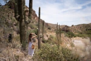 EIN Number Arizona - What Is It & How To Apply