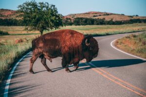 EIN Number Oklahoma - What Is It & How To Apply