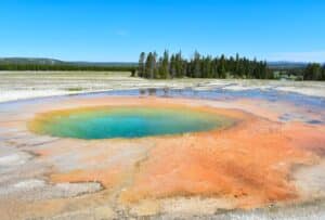  EIN Number Wyoming - What Is It & How To Apply