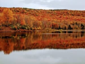 EIN Number West Virginia - What Is It & How To Apply